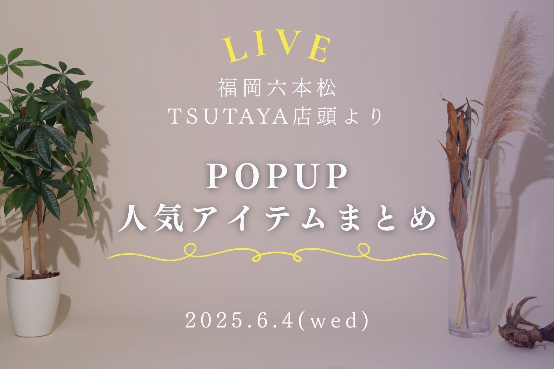 6/4(水)インスタライブ POPUP人気アイテムまとめ