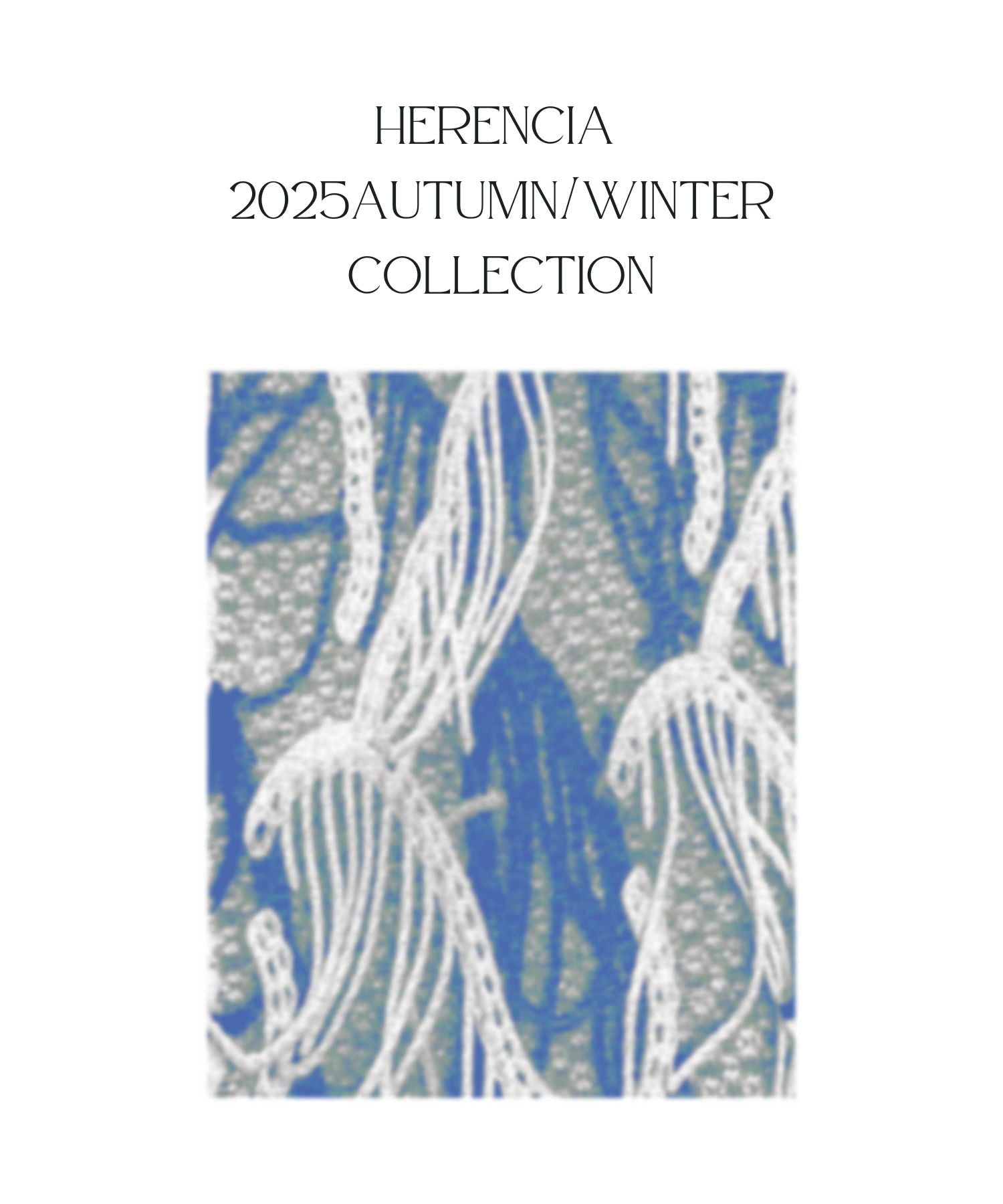 2025 autumn/winter collection