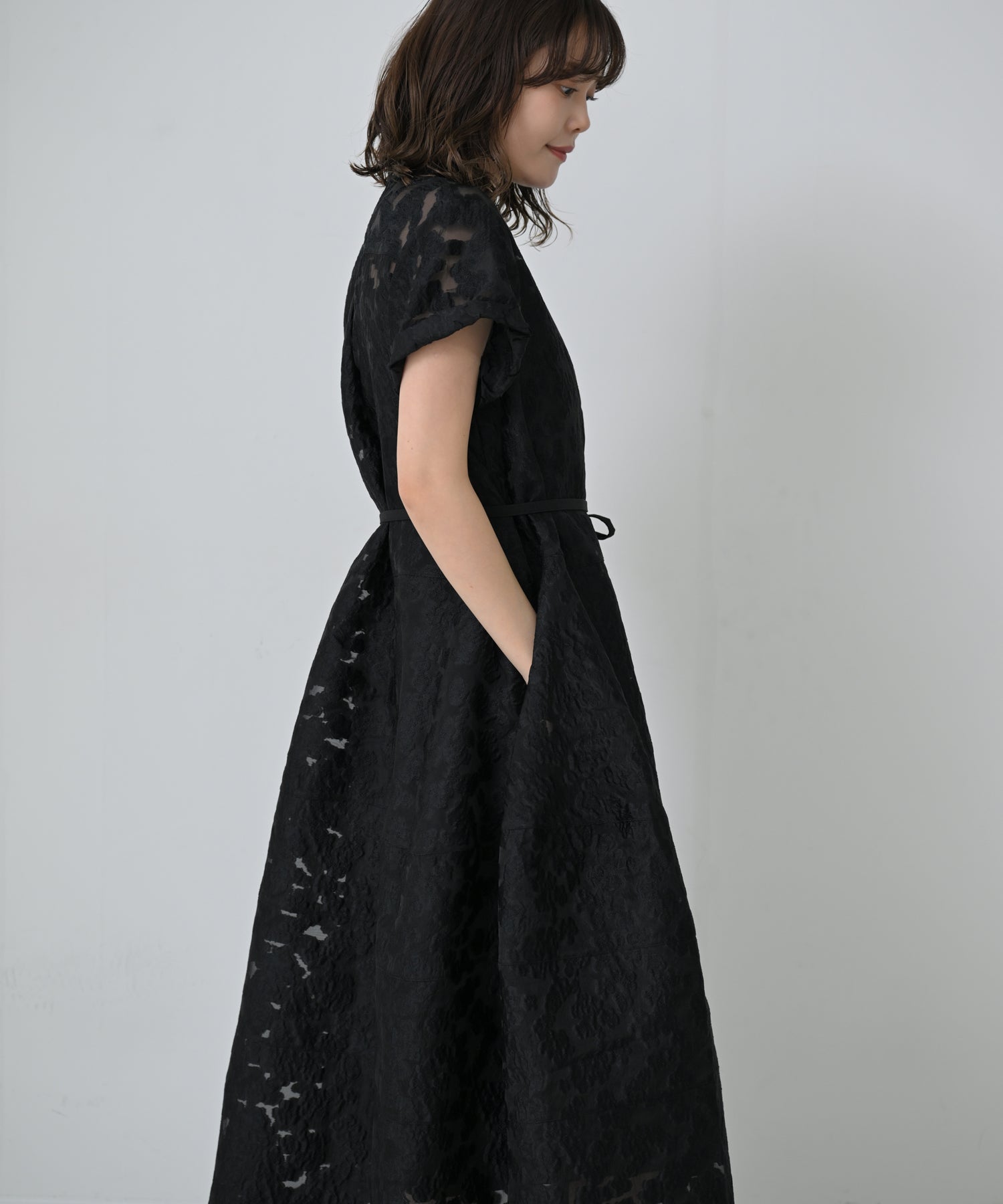 Sheer Jacquard Belted Dress